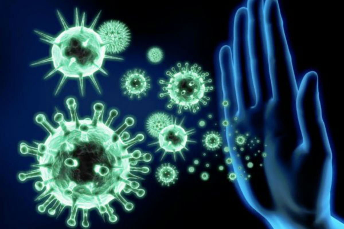 Познавательные факты о иммунитете