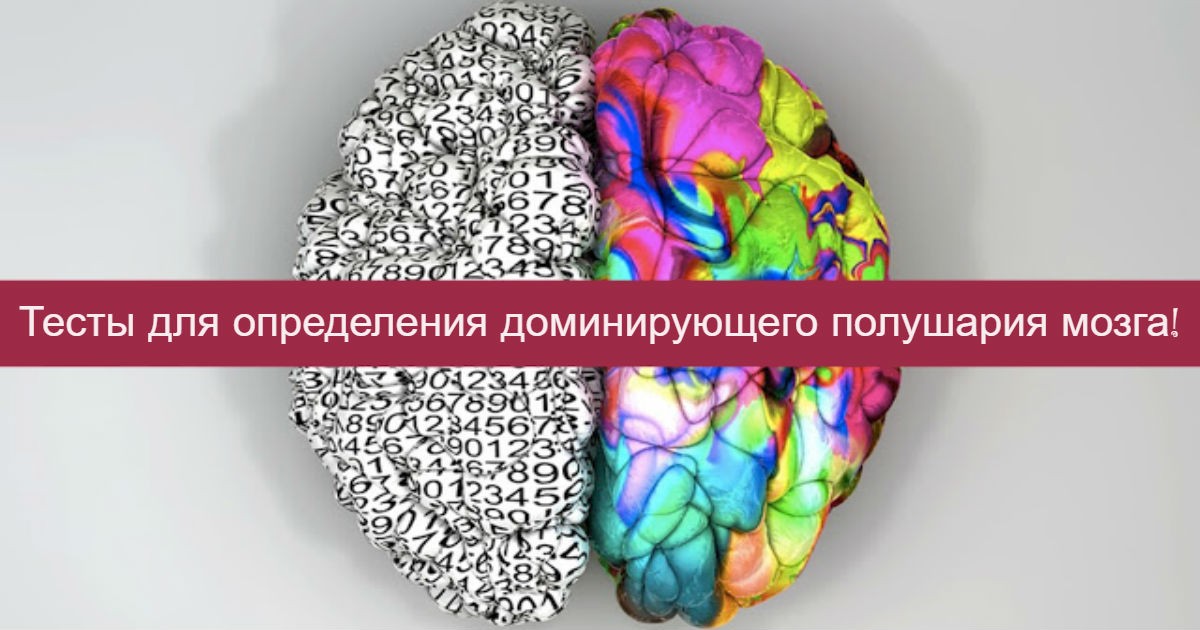 Тест головного полушария. Тест на доминирование полушарий мозга. Левое и правое полушарие мозга. Цвета полушарий мозга. Тест на ведущее полушарие мозга.